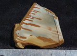 Owyhee Jasper Rock Slab 492