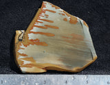 Owyhee Jasper Rock Slab 488