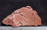 Fire Ledge Jasper Slab 55
