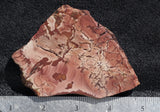 Fire Ledge Jasper Slab 64