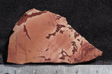 Fire Ledge Jasper Slab 54