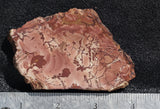 Fire Ledge Jasper Slab 65