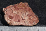 Fire Ledge Jasper Slab 65