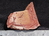 Fire Ledge Jasper Slab 56