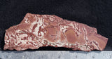 Dead Ringer Jasper Slab 32