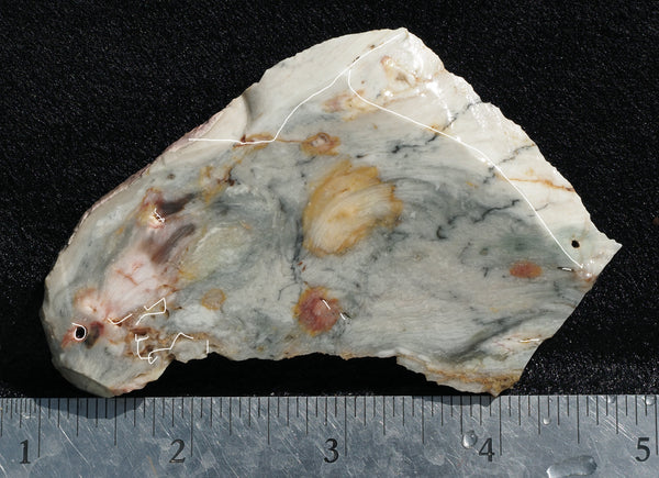 Larsonite Rock Slab 98 – DD Rocks