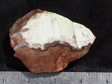 Bargain Bin E Slab 263