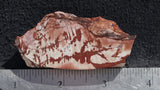 Fire Ledge Jasper Slab 68