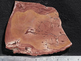 Fire Ledge Jasper Slab 57