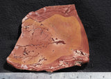 Fire Ledge Jasper Slab 50