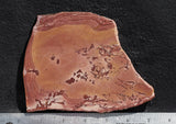 Fire Ledge Jasper Slab 51