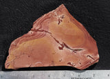 Bargain Bin E Slab 183