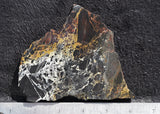 Iron Buffalo Rock Slab 81