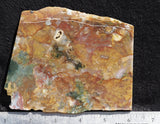 Fancy Jasper Slab 40