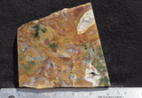 Fancy Jasper Slab 41