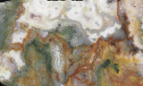 Bargain Bin F Slab 216
