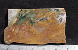 Fancy Jasper Slab 49