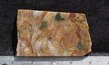 Fancy Jasper Slab 91