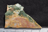 Fancy Jasper Slab 50