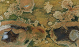 Rainforest Jasper Rock Slab 81