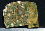 Rainforest Jasper Rock Slab 83