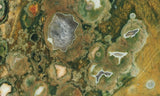 Rainforest Jasper Rock Slab 83