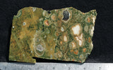 Rainforest Jasper Rock Slab 80