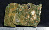 Rainforest Jasper Rock Slab 80