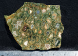 Rainforest Jasper Rock Slab 82