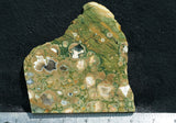 Rainforest Jasper Rock Slab 84