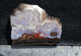 Cady Mountain Rock Slab 182