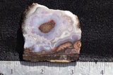 Cady Mountain Rock Slab 183