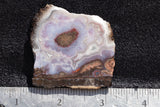 Cady Mountain Rock Slab 183