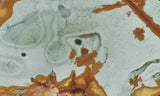 Rocky Butte Picture Jasper Rock Slab 58