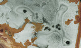 Rocky Butte Picture Jasper Rock Slab 57