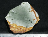 Rocky Butte Picture Jasper Rock Slab 53