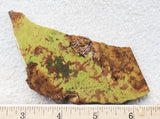 Green Dream Rock Slab 59