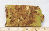 Green Dream Rock Slab 54
