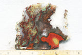 King Cobra Slab 228
