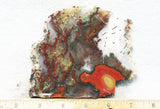 King Cobra Slab 228