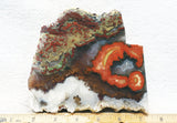 King Cobra Slab 232