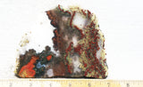King Cobra Slab 224