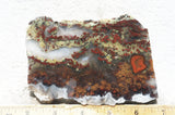 King Cobra Slab 221
