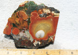 King Cobra Slab 244