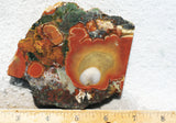 King Cobra Slab 244