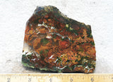 King Cobra Slab 220