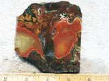 King Cobra Slab 218