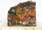 King Cobra Slab 215