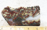 King Cobra Slab 236
