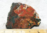 King Cobra Slab 234